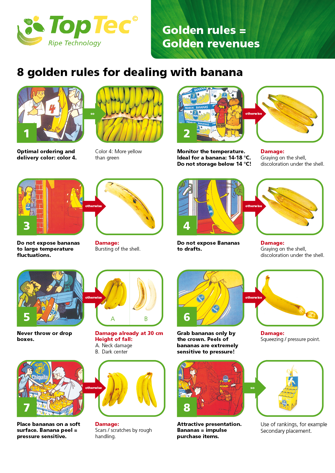 Cooling Service Holland Top Tec banana ripe technology